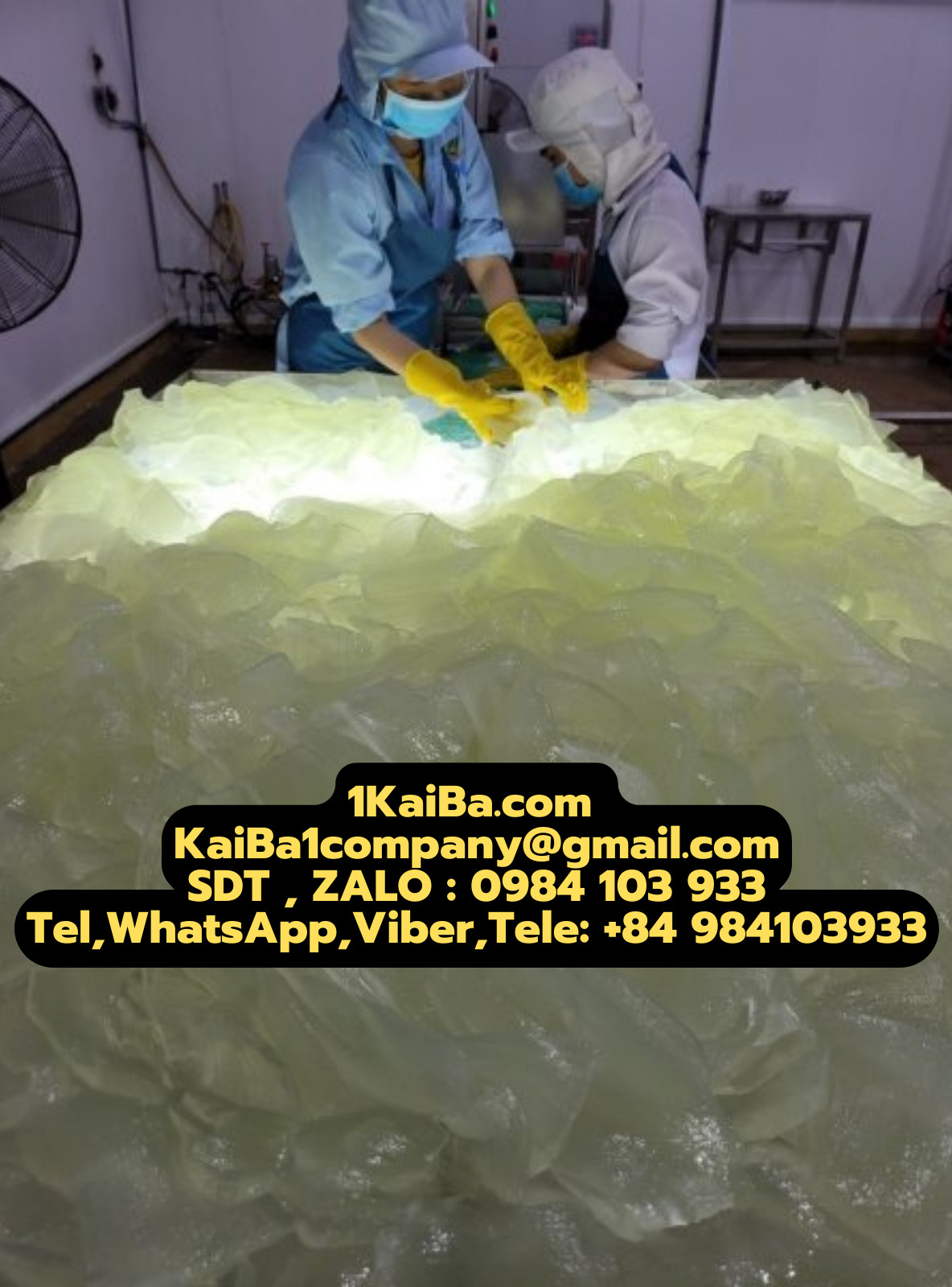 Máy Gọt Vỏ Nha Đam